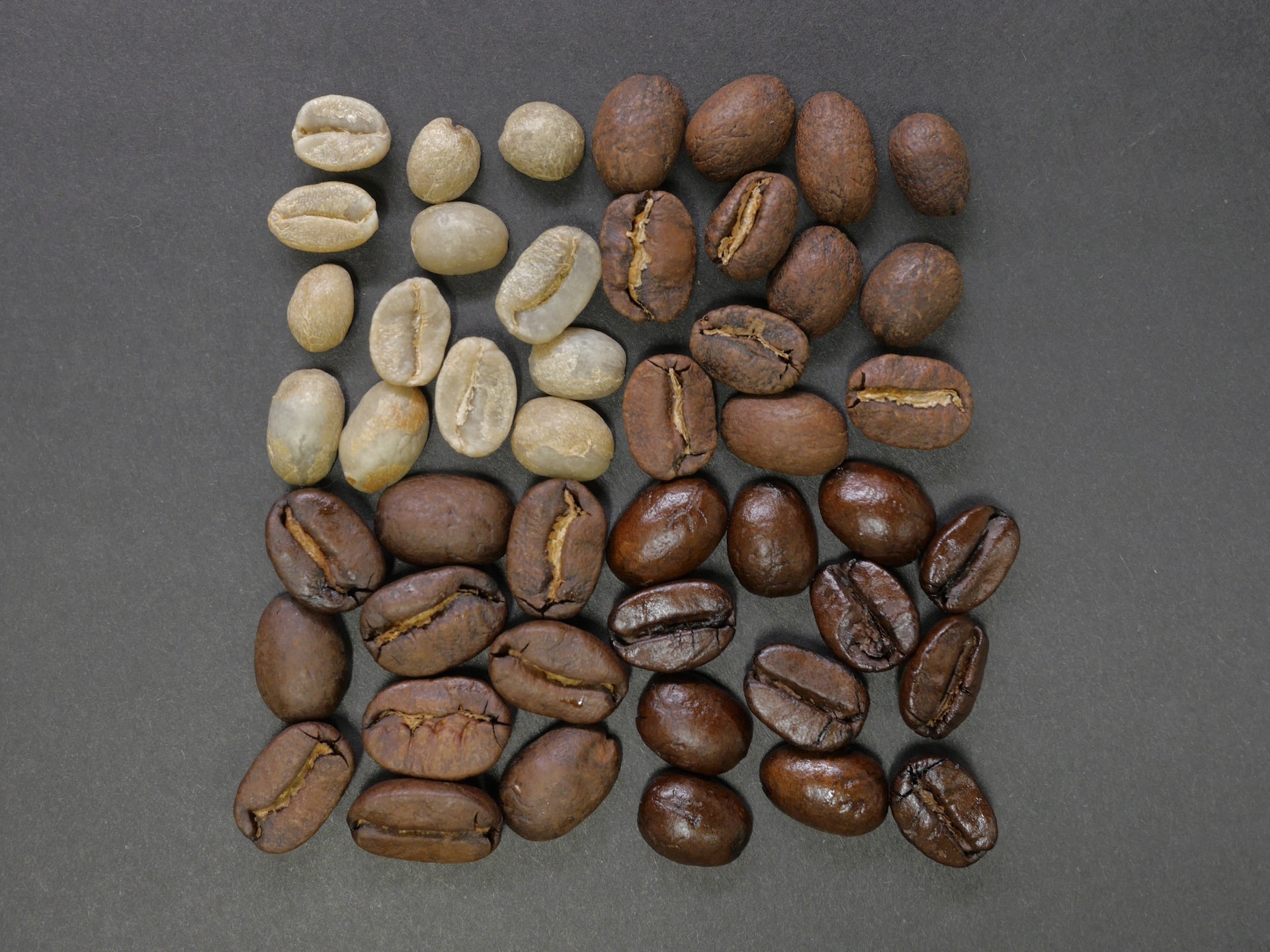 Exploring the World of Coffee: A Guide to the Four Main Types